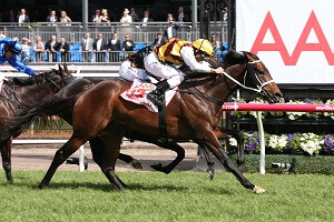 Preferment VRC Derby Web